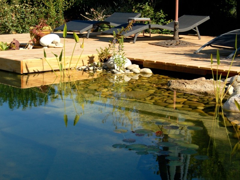 Ein selbst angelegter Teich in einem Garten, mit Sonnenliegen und Sonnenschirm.