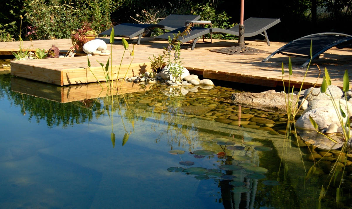 Ein selbst angelegter Teich in einem Garten, mit Sonnenliegen und Sonnenschirm.