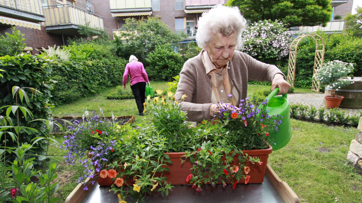 Eine ältere Dame pflanzt Blumen an einem Pflanztisch.