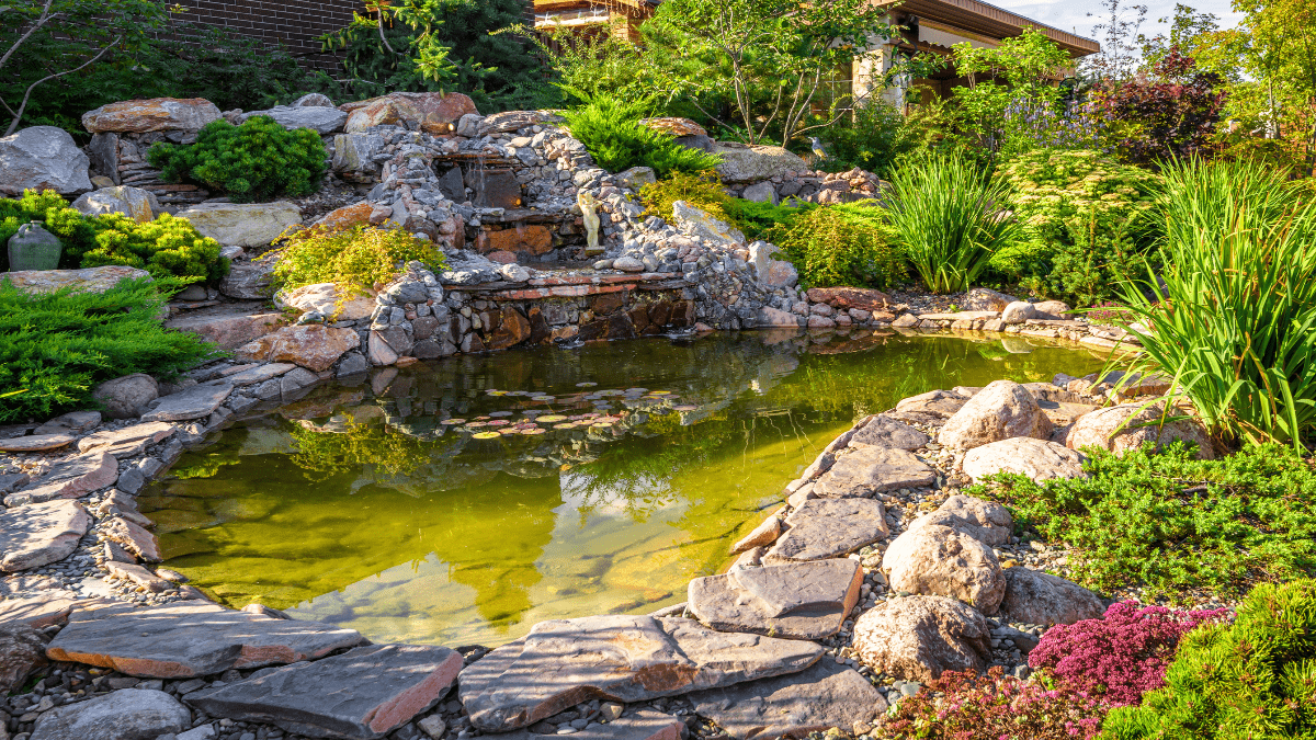 SchÃ¶ner Teich im Garten