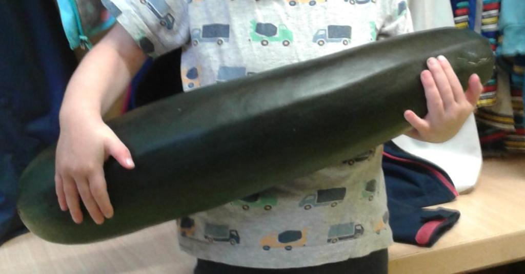 Ein Kind hält eine besonders große Zucchini ins Bild.