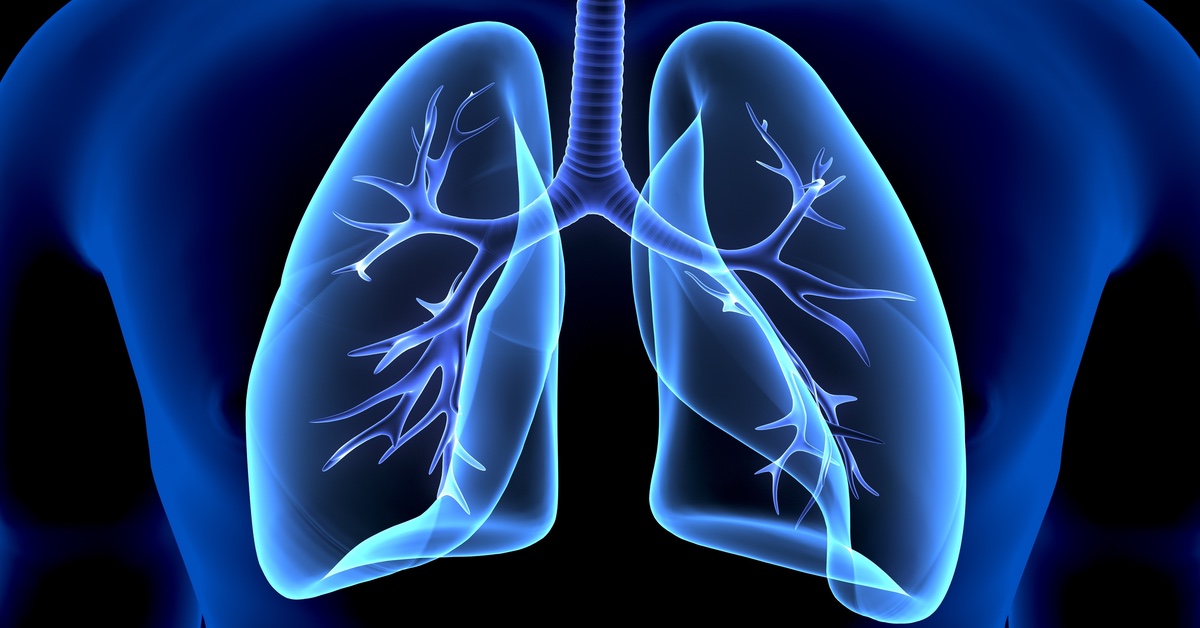 8 Tipps, um die Lunge zu entgiften.