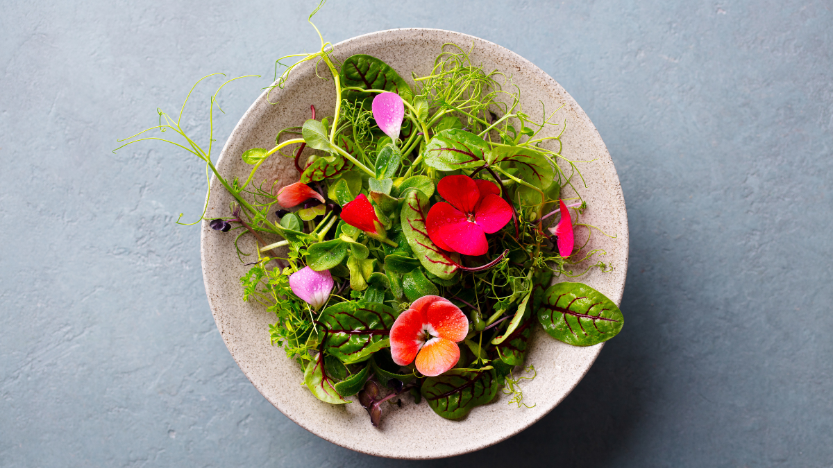 Ein Teller mit Salat und essbaren Blüten.