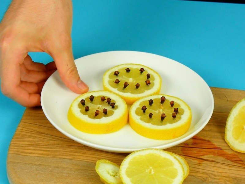 Ein Teller mit Zitronenscheiben, in die Nelken gesteckt wurden.