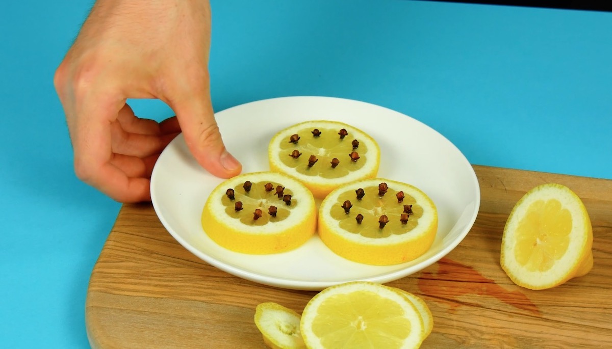 Ein Teller mit Zitronenscheiben, in die Nelken gesteckt wurden.