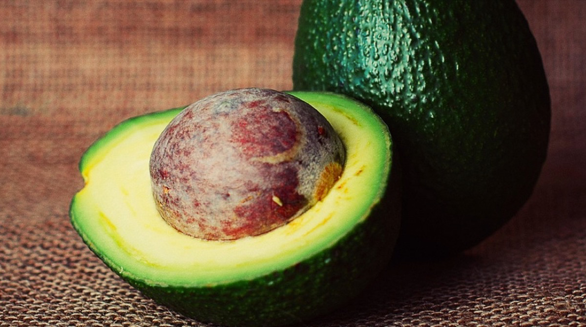 Eine aufgeschnittene Avocado mit einem großen Kern. Avocadokern verwenden.