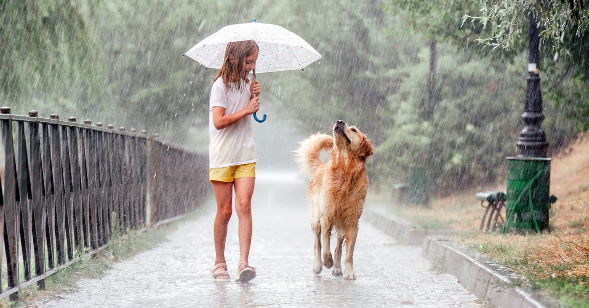 Ein Mädchen mit Schirm und ein Hund im Regen.