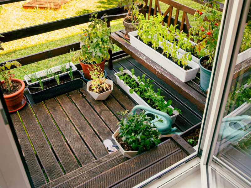 Ein sehr kleiner Balkon mit Bepflanzung.