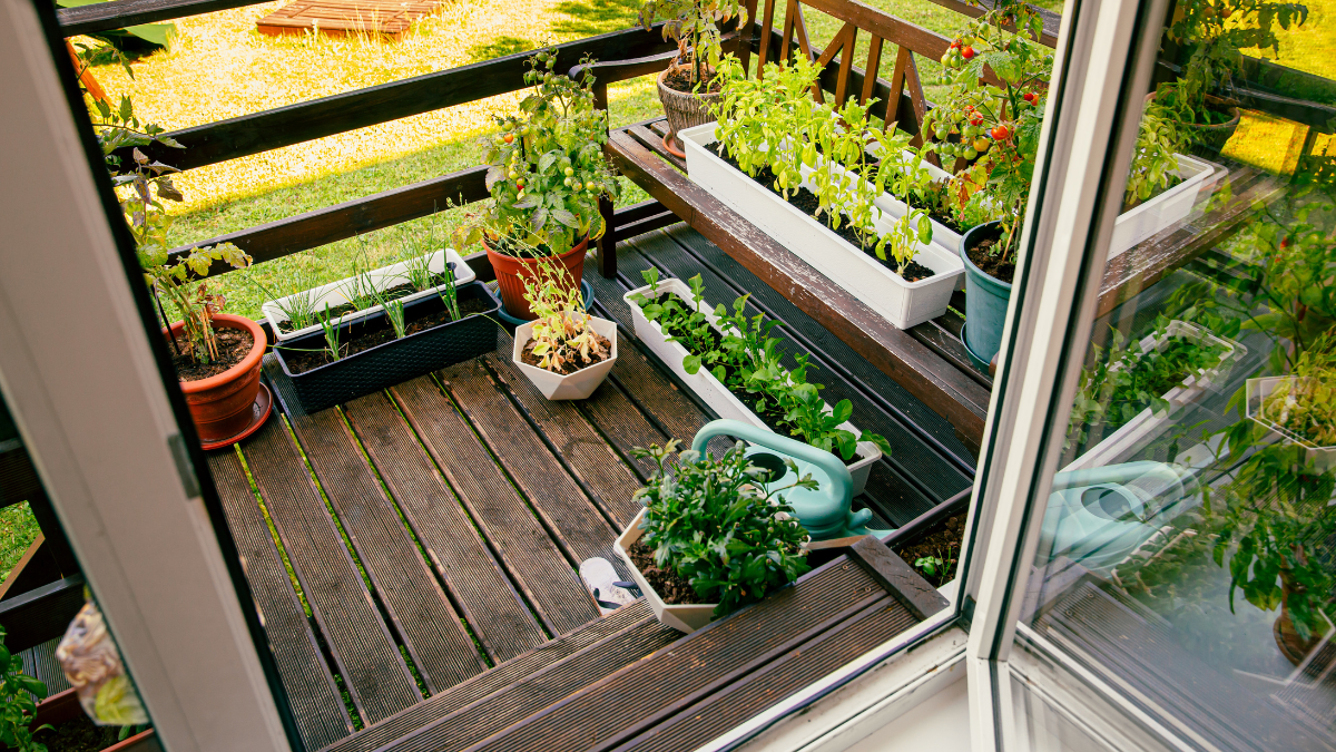 Ein sehr kleiner Balkon mit Bepflanzung.