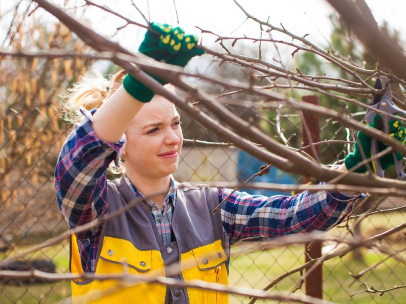 Ein Foto zeigt eine professionelle, junge Gärtnerin beim Sträucher schneiden in einem Garten im Frühjahr.