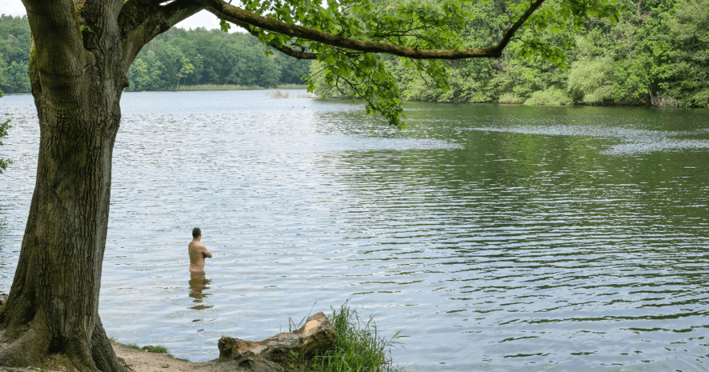 Eine Person badet in einem See, zu sehen ist auch ein Baum.