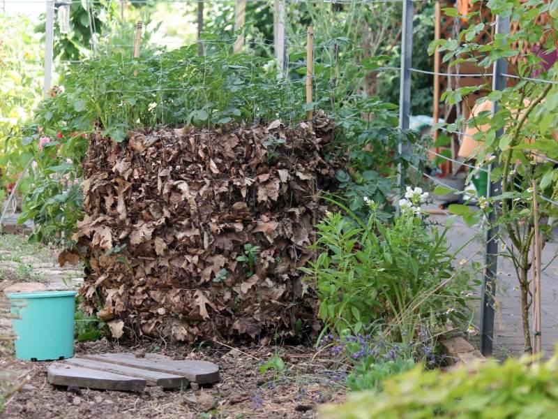 Ein Bild von einem Kartoffelturm in einem Garten.