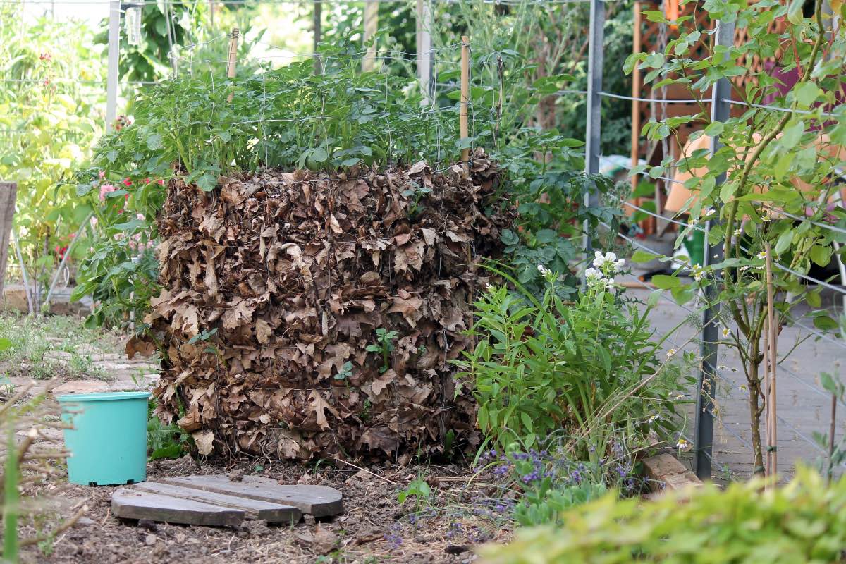 Ein Bild von einem Kartoffelturm in einem Garten.