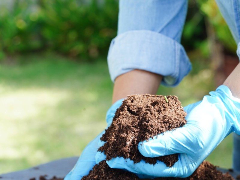 Organischer DÃ¼nger: Das bringt er wirklich fÃ¼r deinen Garten