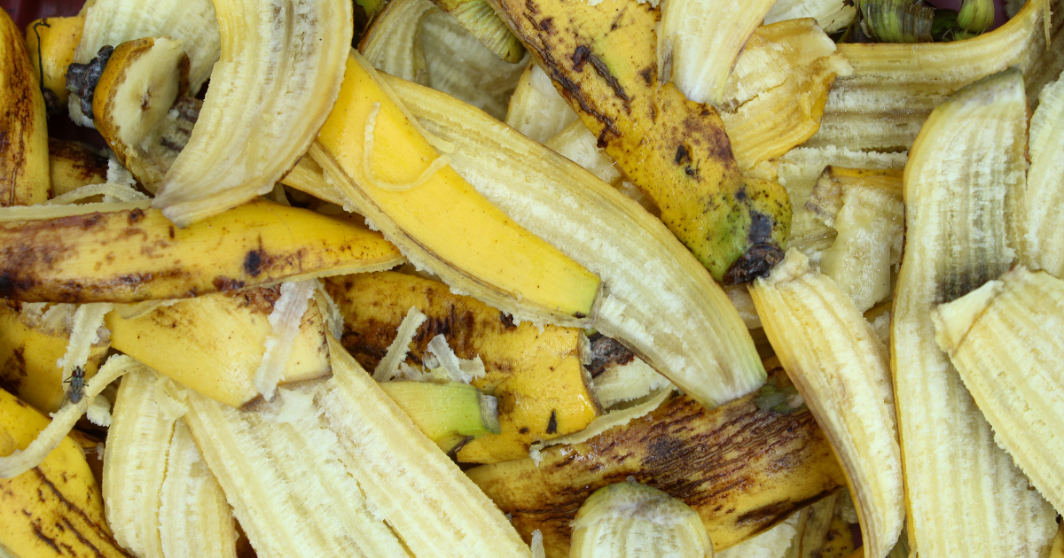 Ein Haufen Bananenschalen in Nahaufnahme.