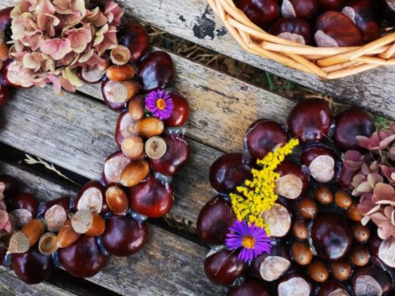 Kränze, gebastelt aus Kastanien, Eicheln und Blüten