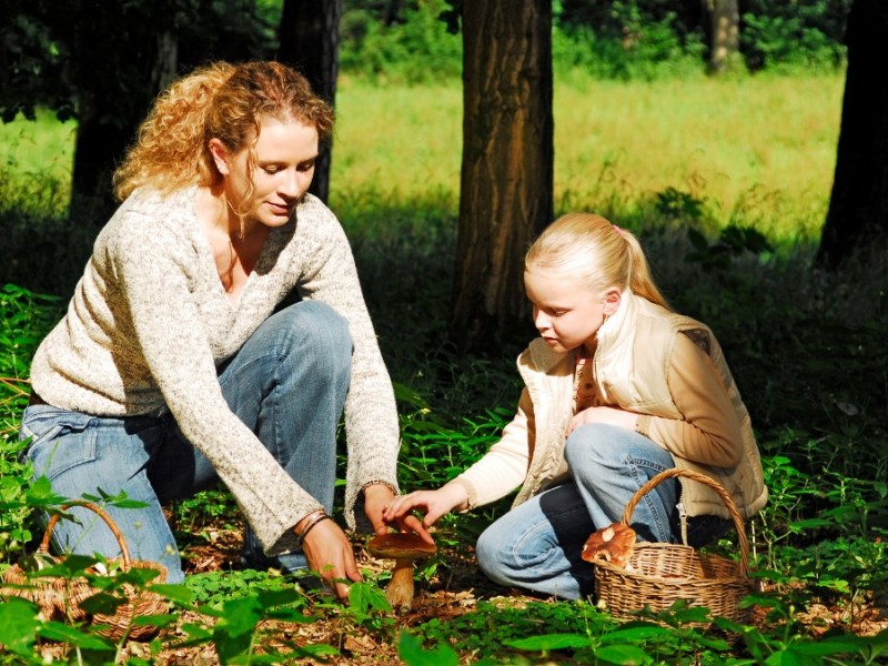 Mutter und Tochter sammeln Pilze im Wald