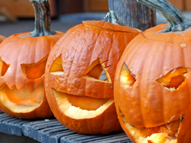 Geschnitzte Halloween-Kürbisse stehen in einer Reihe