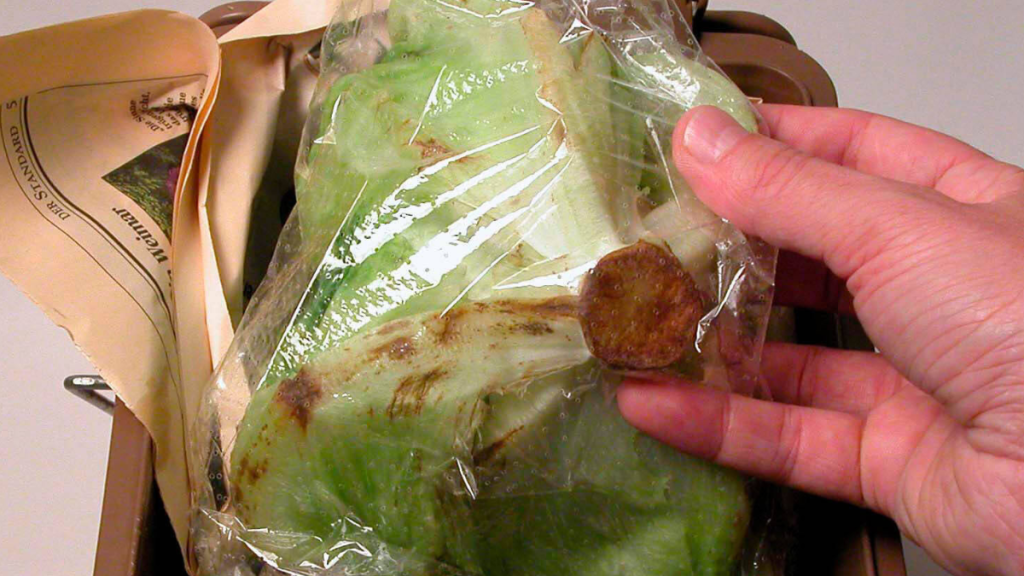 Eisbergsalat in Plastikverpackung im Mülleimer