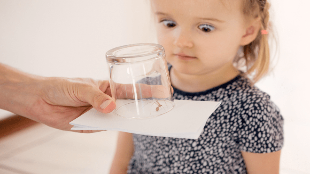 Mädchen starrt auf eine Spinne in einem Glas.