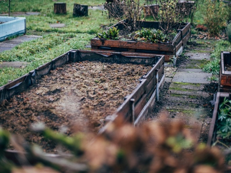 Garten: Darum solltest du im Herbst noch ein Hochbeet anlegen