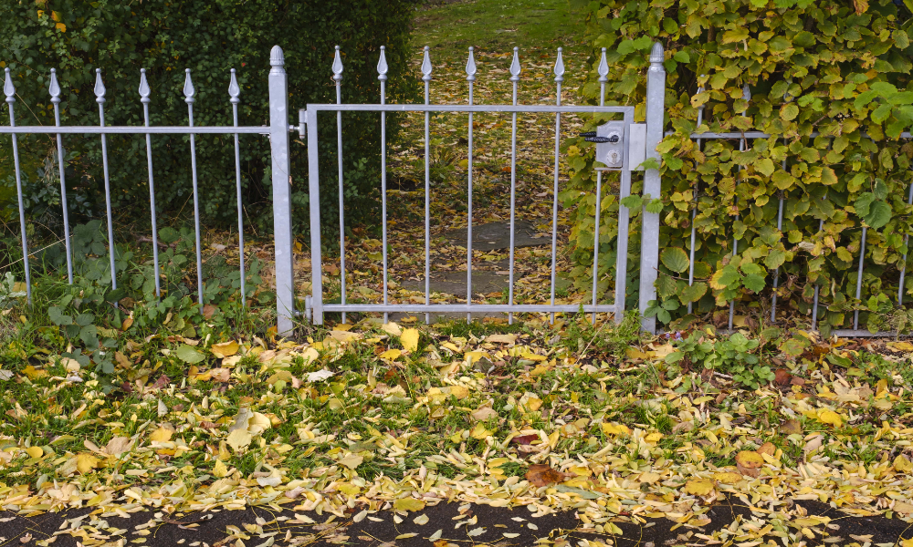 Ein Tor zu einem Garten, auf dem Boden Herbstlaub.