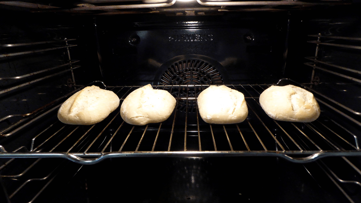 4 BrÃ¶tchen liegen auf einer Backschiene im Ofen.