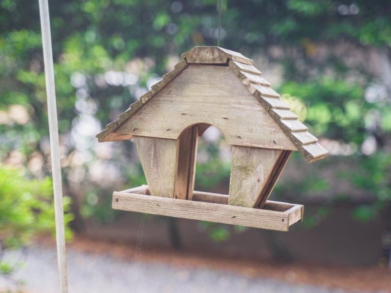 Ein selbstgebautes Vogelhaus hÃ¤ngt an einem Baum.