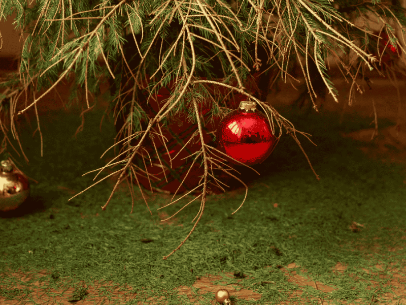 Weihnachtsbaum lÃ¤nger frisch halten