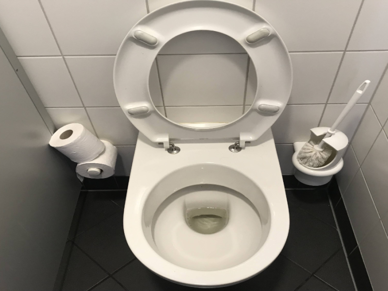 Eine Toilette, daneben Klopapier und ein Klobürstenhalter.