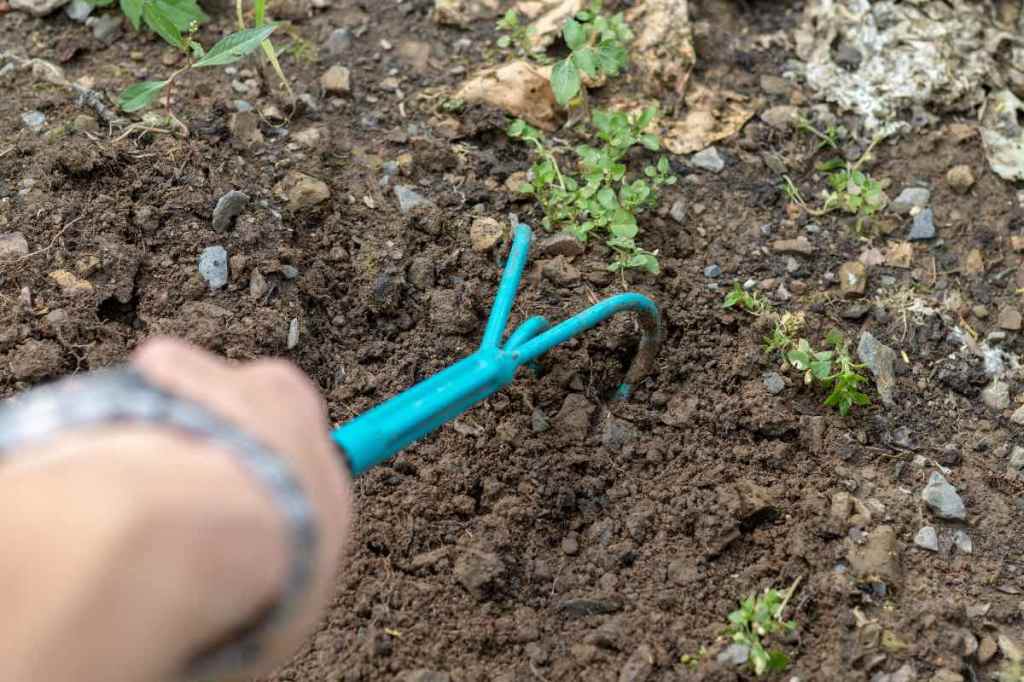 Eine Person lockert den Boden eines Beets mit einer Gartenhacke auf.