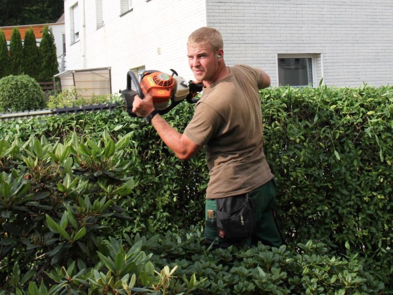 Ein Mann wird beim Hecke schneiden in einem Garten fotografiert.