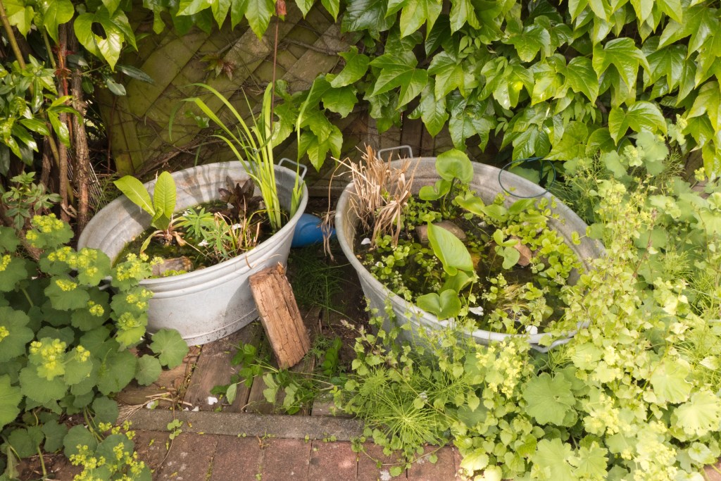 Ein Bild von einem kleinen selbstgemachten Gartenteich.