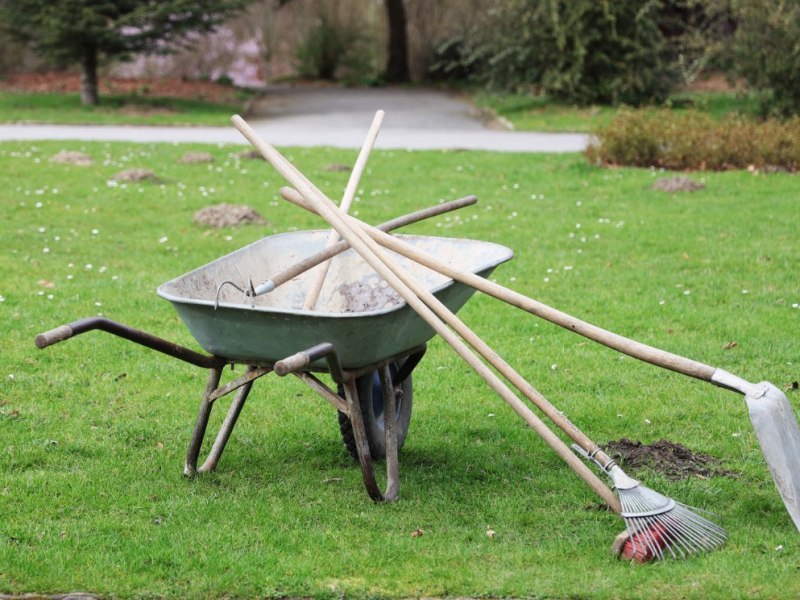 Symbolbild für Rasen-Pflege im März: Harke und Schaufel lehnen an einer Schubkarre, die in einem Garten steht.