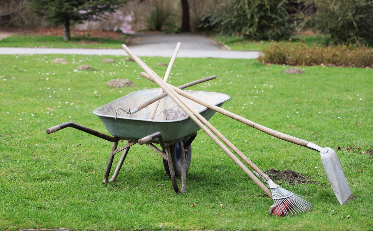 Symbolbild für Rasen-Pflege im März: Harke und Schaufel lehnen an einer Schubkarre, die in einem Garten steht.